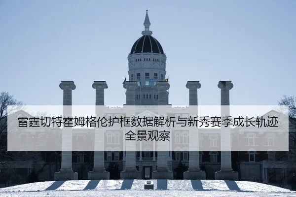 雷霆切特霍姆格伦护框数据解析与新秀赛季成长轨迹全景观察