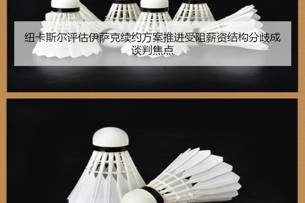 纽卡斯尔评估伊萨克续约方案推进受阻薪资结构分歧成谈判焦点