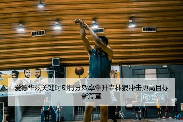 爱德华兹关键时刻得分效率攀升森林狼冲击更高目标新篇章